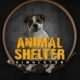 Game Animal Shelter Simulator